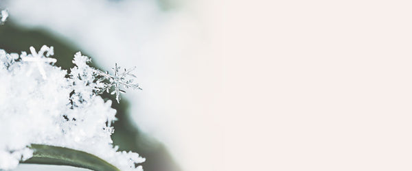 Wie der Winter den Wimpernkleber beeinflusst
